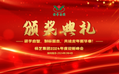 2024年新宝gg集团迎新春年会暨颁奖典礼盛大举行