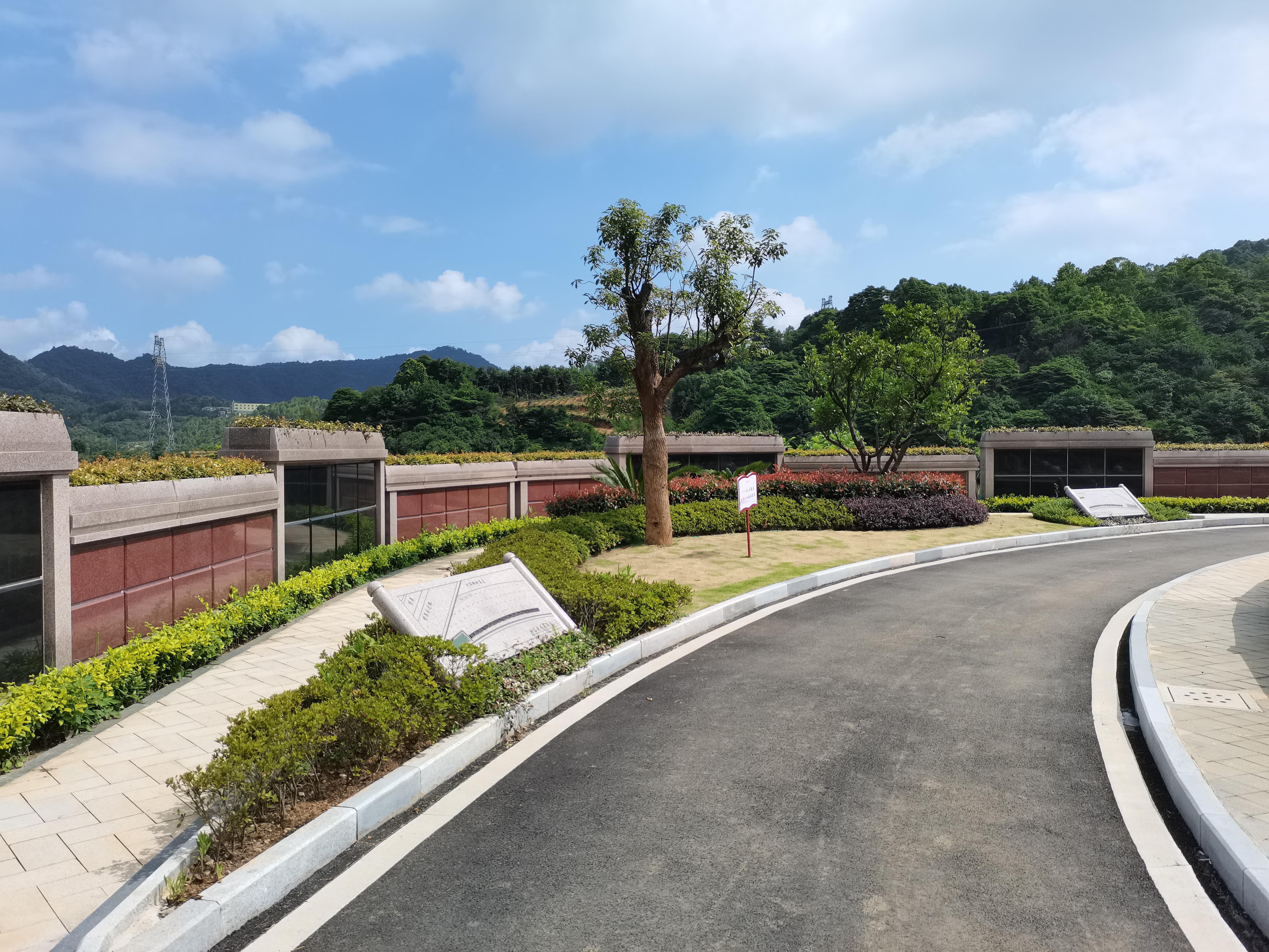 海葬和树葬哪个好？两种生态葬祭方式的选择与意义