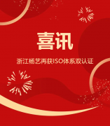 喜讯 | 浙江新宝gg再获ISO体系双认证