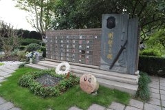 致敬“平安卫士”，铭记“刑警之魂”