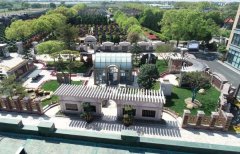 方寸之间，艺术与自然共舞